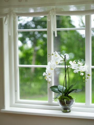 Entretien vitres Astuce lavage vitre Produit pour