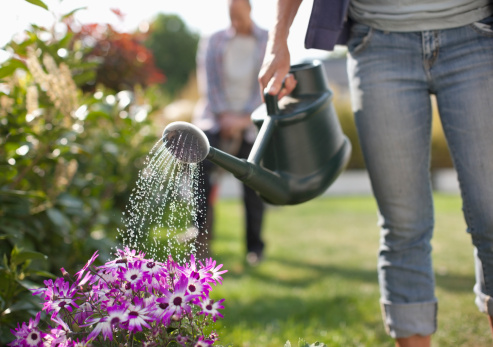 Comment bien arroser son jardin d’ornement ?