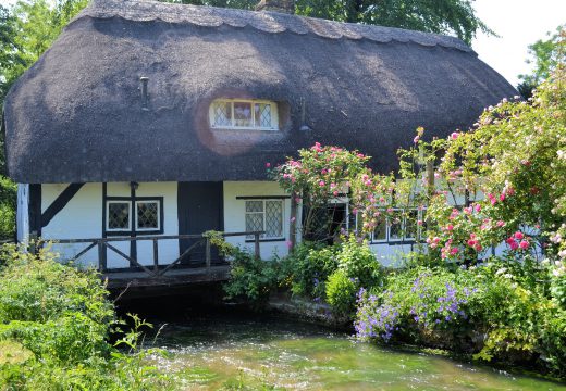 Créer un jardin anglais sur son terrain