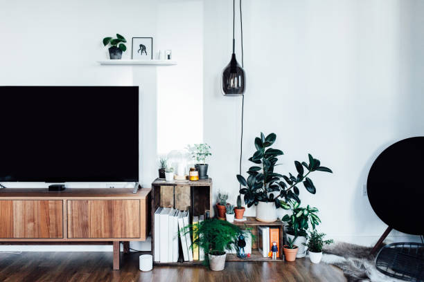 Salon avec TV écran plat et deux caisses en bois, style industriel, remplies de livres